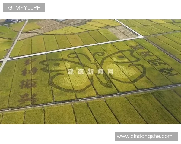 五谷丰登与农耕文化的传承探索：从稻麦豆薯到现代农业的变革与挑战