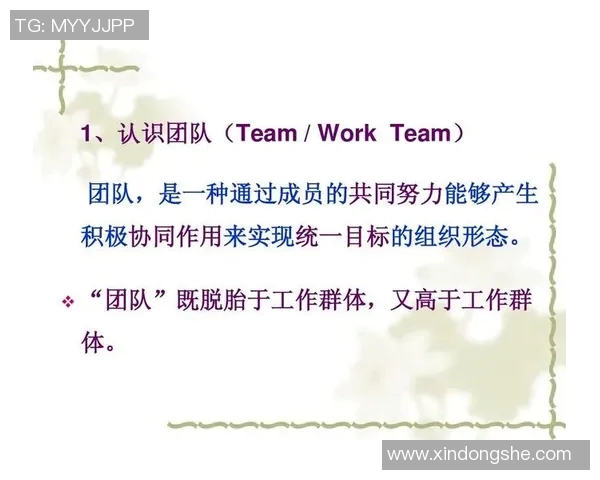 打造高效协作团队：激发成员潜能与增强团队凝聚力的关键策略