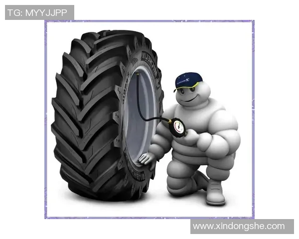 探索轮胎技术的未来发展：创新设计与环保材料的结合趋势